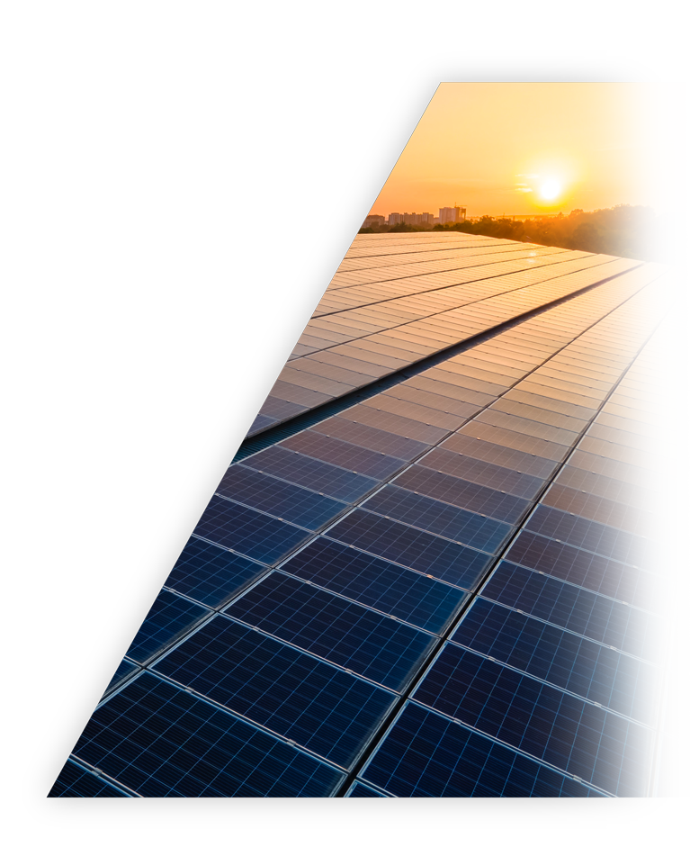 首页-人生就是博手机版